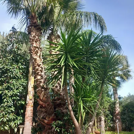 Costa Mondello Apartman *