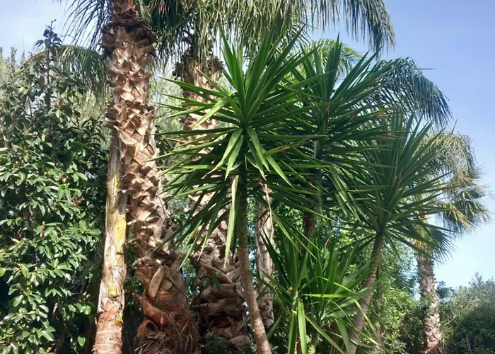 Costa Mondello Apartment *